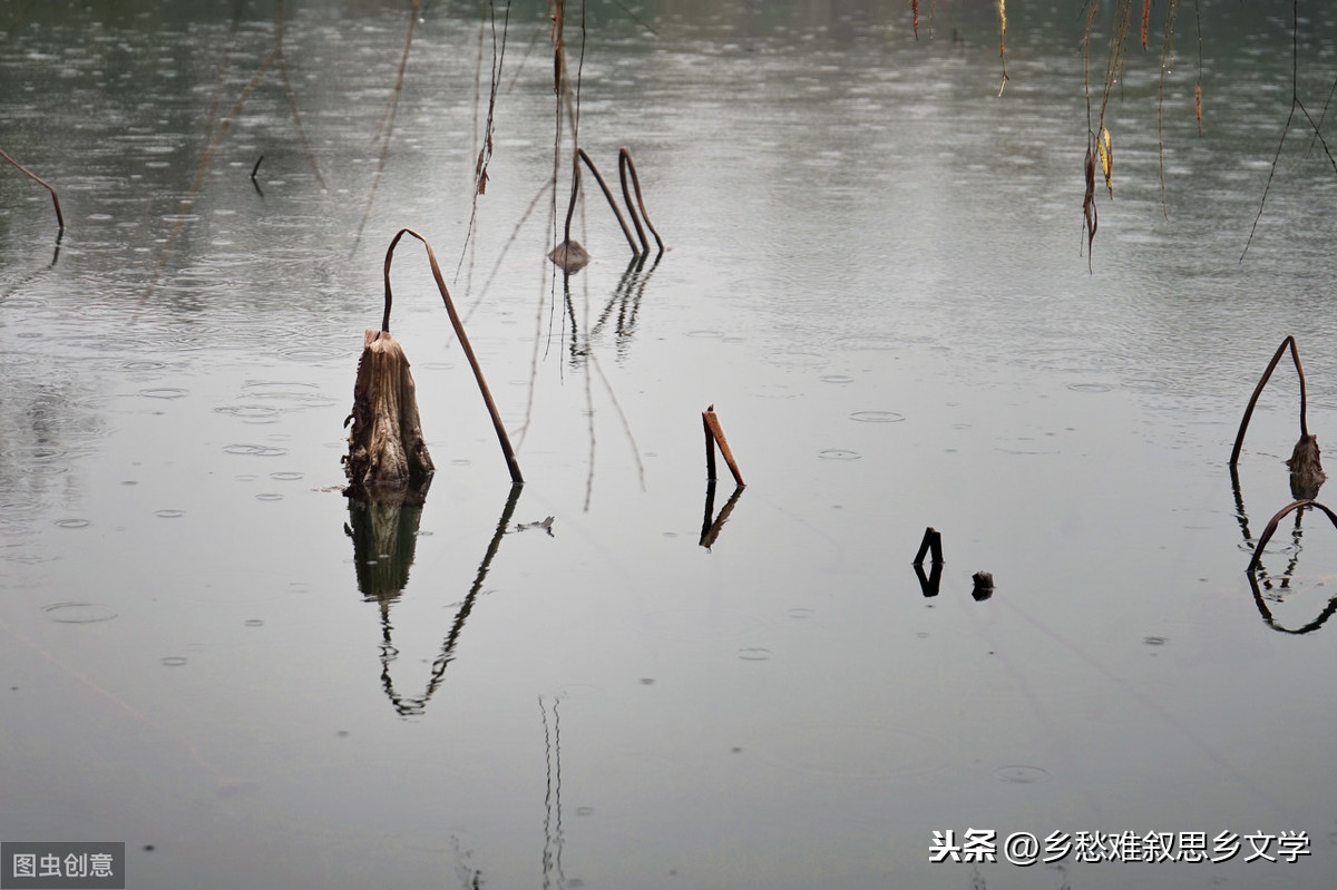 散文：情寄冬雨