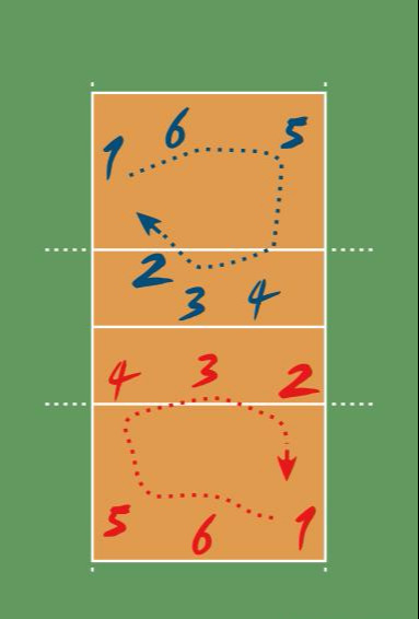 世界女排规则(支持中国女排前，先看懂这些排球规则，了解下姑娘们的特点和位置)