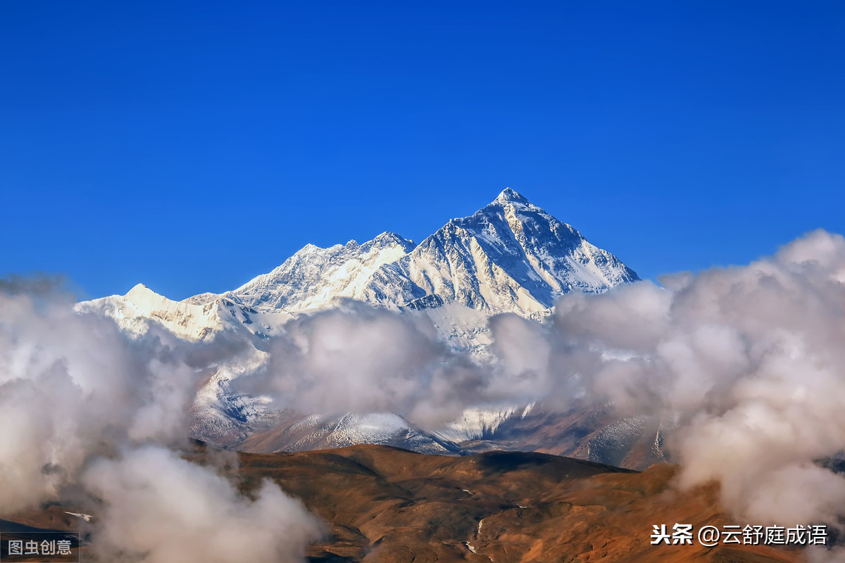 十大高洁名句，除“出淤泥而不染濯清涟而不妖”，另外9句可知？