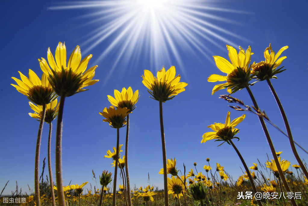 学校又曝发霉食材：心安之处才能岁月静好，阳光普照才有花朵盛开