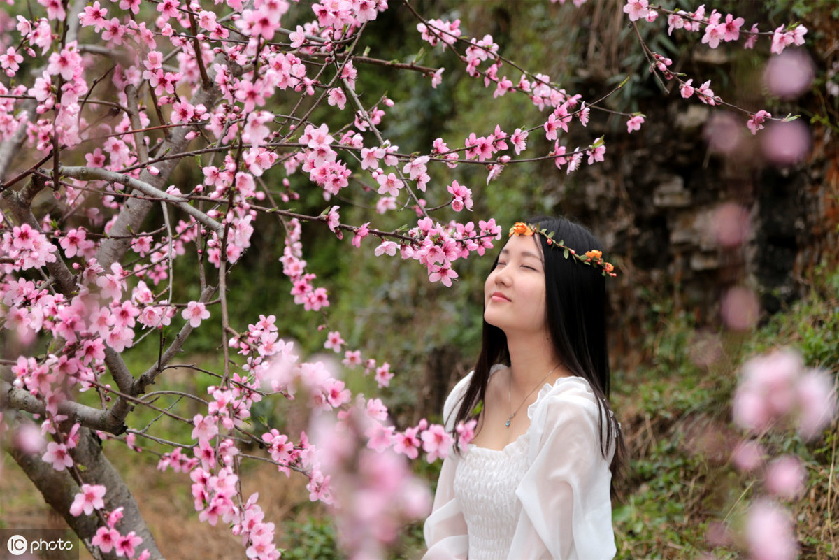 写景美文《桃花灼灼杏花娇》，文笔真美！