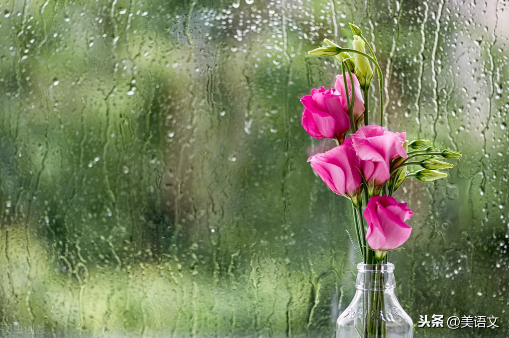 优秀习作---《雨中即景》