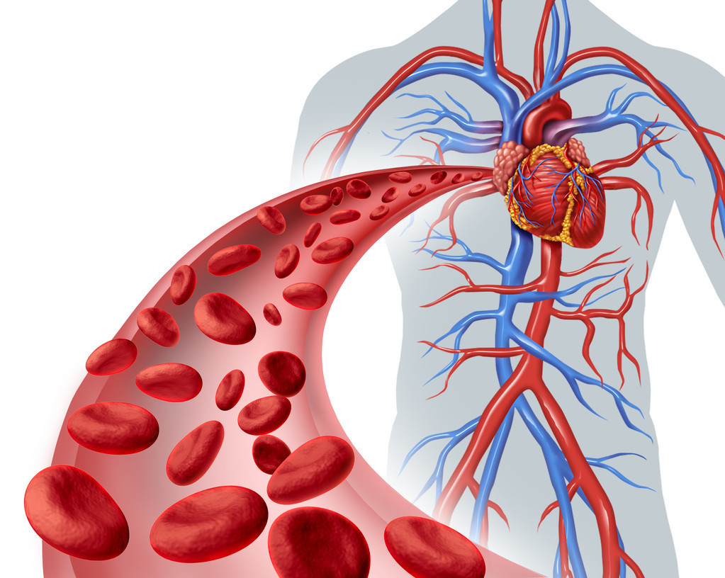 血瘀是什么原因造成的，导致血瘀的6大主因常被忽视？