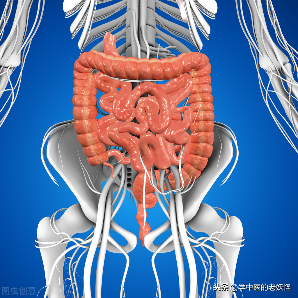 大腸在解剖上包括升結腸,橫結腸,降結腸,乙狀結腸和直腸.