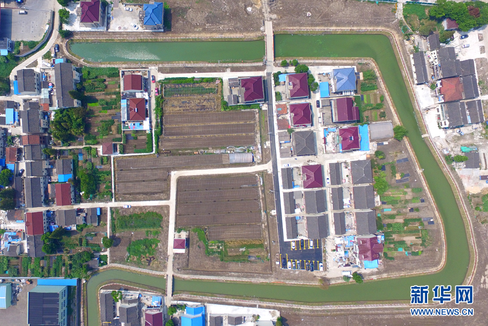 強化源頭管理 疏通水道“血栓” 閔行水環境治理效果初顯