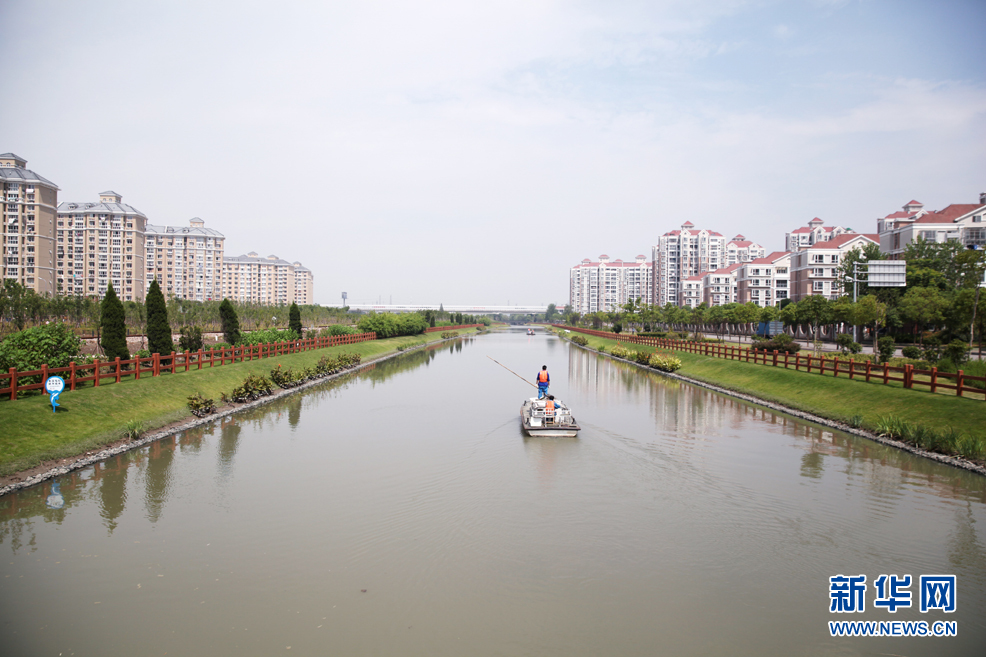 強化源頭管理 疏通水道“血栓” 閔行水環境治理效果初顯