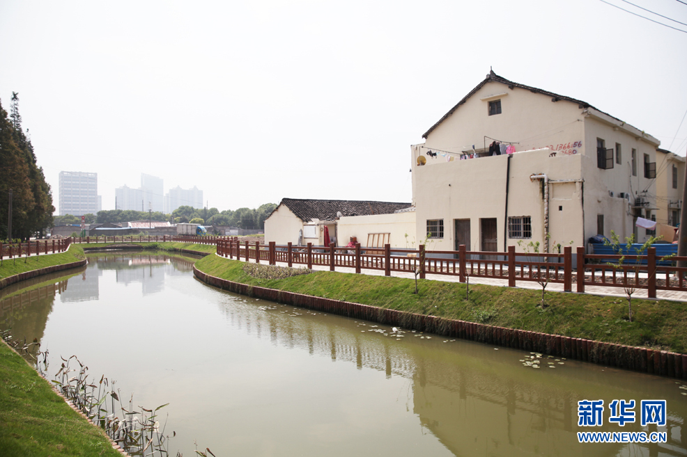 強化源頭管理 疏通水道“血栓” 閔行水環境治理效果初顯