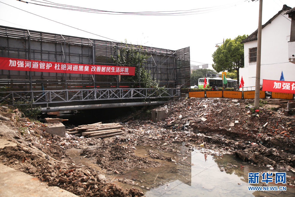 強化源頭管理 疏通水道“血栓” 閔行水環境治理效果初顯