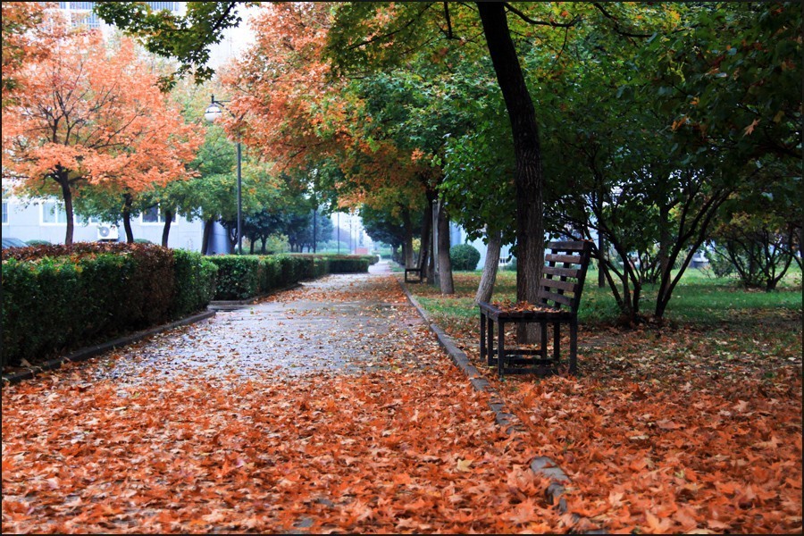 唯美，淋漓在古诗词里的那场秋雨