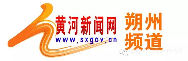 山西交通违章查询,