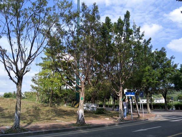 OPPO R9s评测：这次后置摄像头也加满了血！