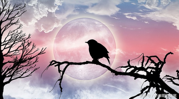 高钾血症的原因表现及处理