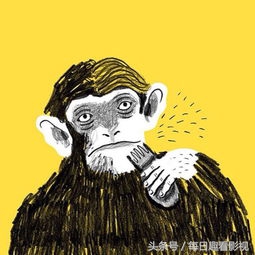 回的去的是回忆，回不来的是青春，推荐五部青春校园类的电影