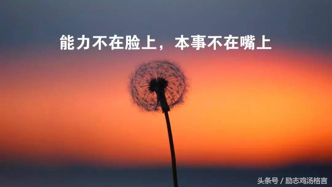 人生哲理短句,励志正能量,致失落的你!