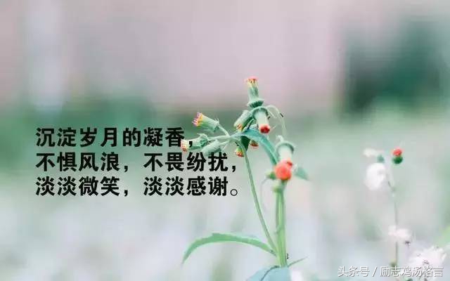 低落的名人名言