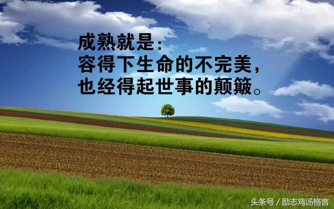 人生哲理短句,励志正能量,致失落的你!