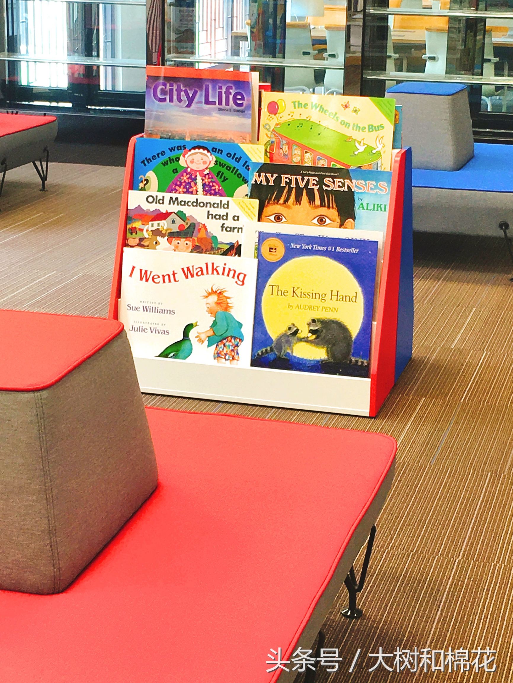 参观完南京顶级每年学费20万贝赛思Basis国际学校，让我思绪万千