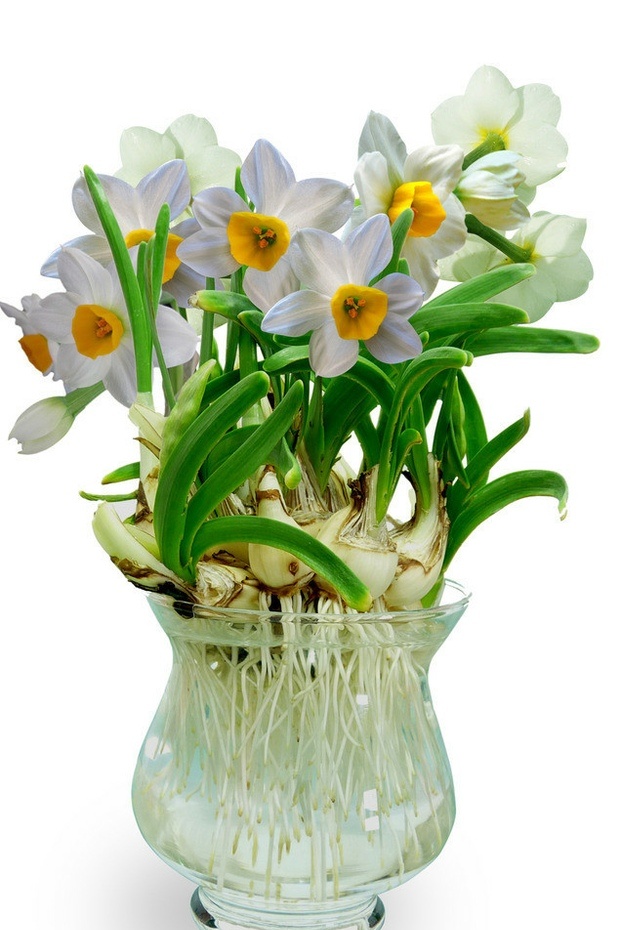 硕硕名字的含义 _飞翔号