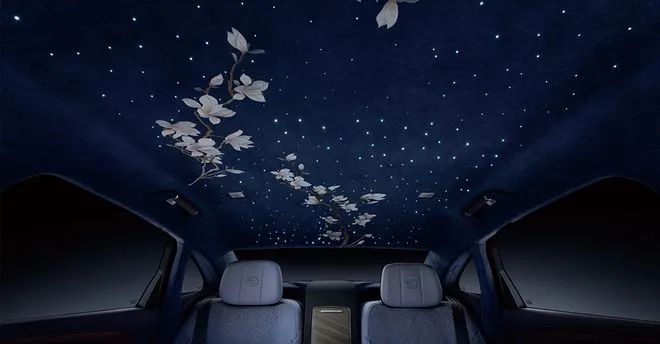 86万元起，轴距超奔驰S级，红旗H9+能否站稳D级轿车市场？