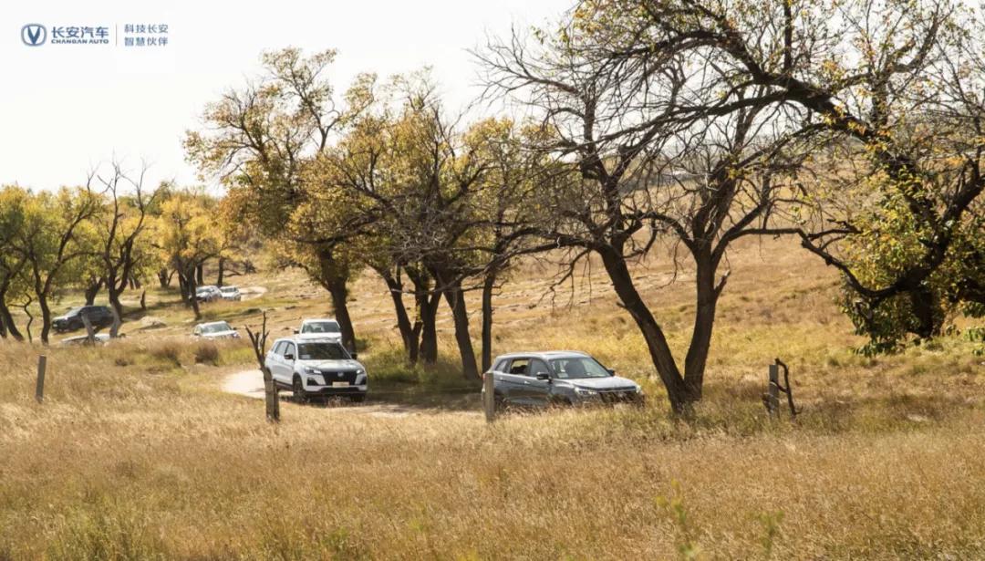 搭载全新动力的新长安CS75蓝鲸版有哪些进步？