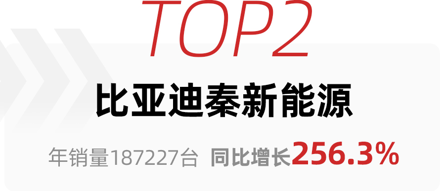 2021年新能源销量排行：宏光MINIEV第一，比亚迪新能源家族强势