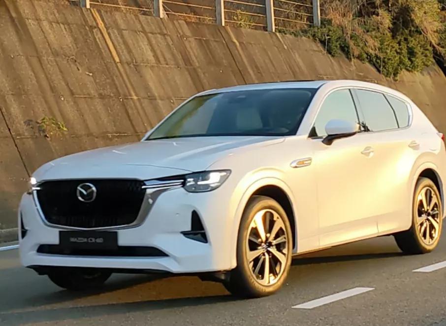 中国首位F1正式车手诞生；11月19日油价下调