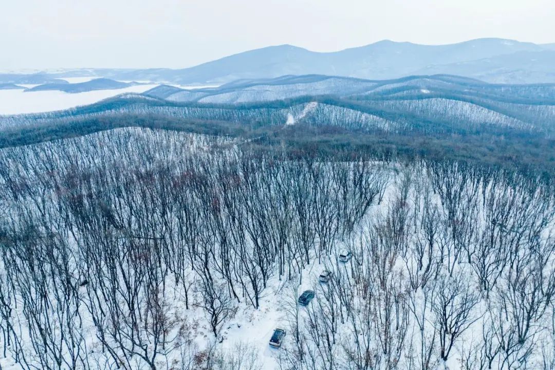 虎年首次冰雪穿越！驾驶东风日产SUV能成功吗？