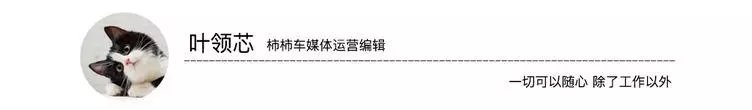 “多碳”版卡宴亮相2021成都车展 售价173.8万 到底贵在哪里？