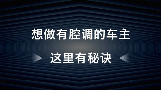 保定车辆违章查询,保定车辆违章查询官网查询