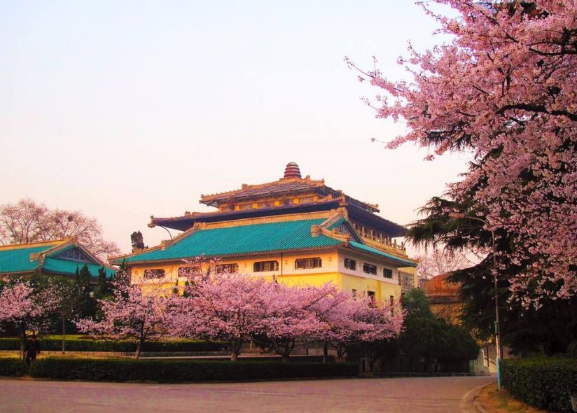 武汉一大学或将在麻城设立分校，结束麻城没有正规高校的历史！