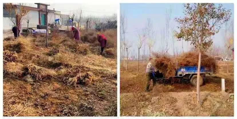 复兴区：国省干线路域环境整治The first day