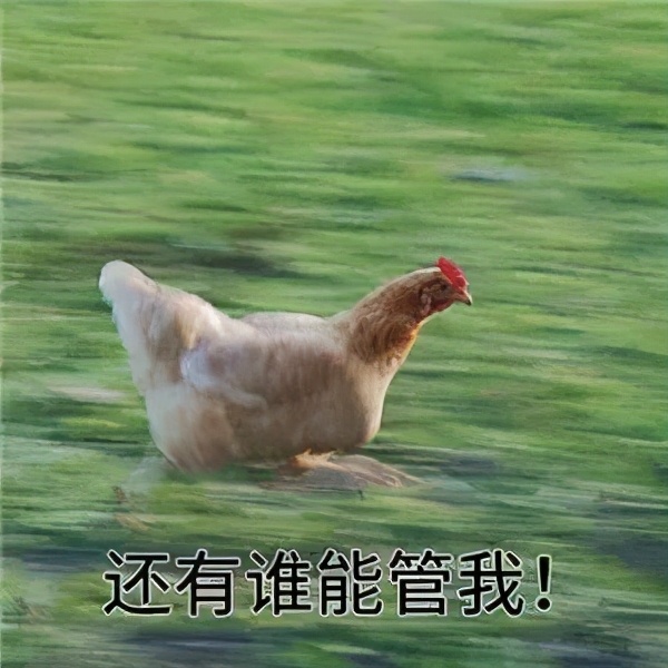 准大一来看！高考后的三个月暑假我要做的那些事(一)