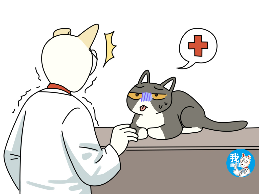 猫肚子上有凸起的小肉粒（猫咪肚子凸起可能是这三个原因）
