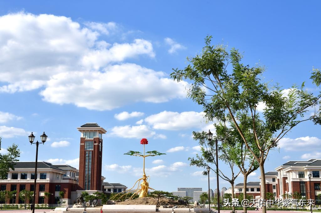 全国普通高等学校名单(大学)02--天津