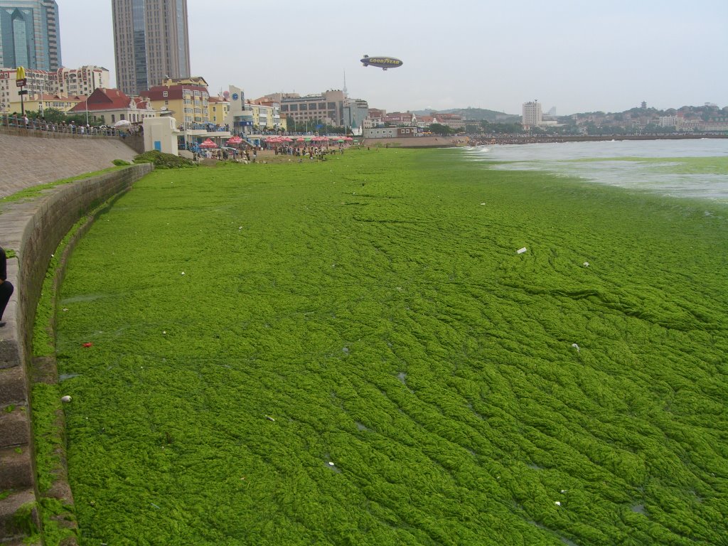 高清洪水泛滥视频下载素材,洪水泛滥素材模板下载