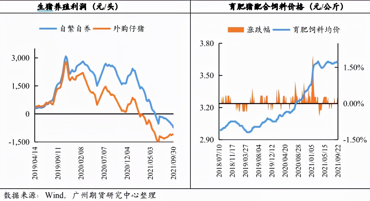 “收储”政策调控 生猪回暖仅为昙花一现？