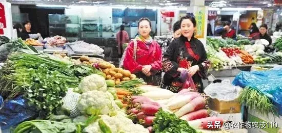 2018年蔬菜销售十大榜单新鲜出炉,谁排第一呢?