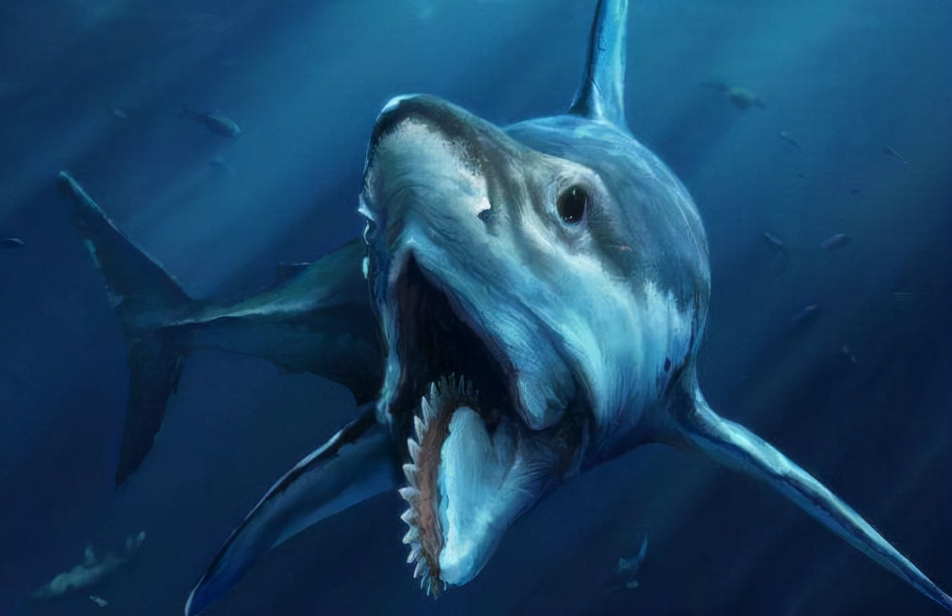 世界上三大可怕的鲨鱼(地球上最凶猛的7种鲨鱼)