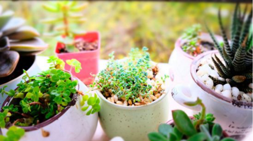 火了！江苏“高颜值”大学：坐拥空调宿舍，出门就是地铁，小龙虾吃到爽！