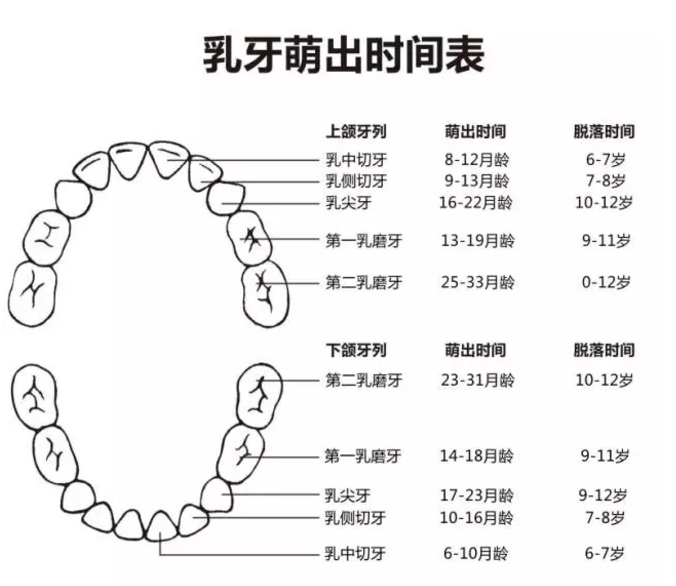 宝宝出牙比别人晚，要补钙？这份指南表明孩子要这么补充才对