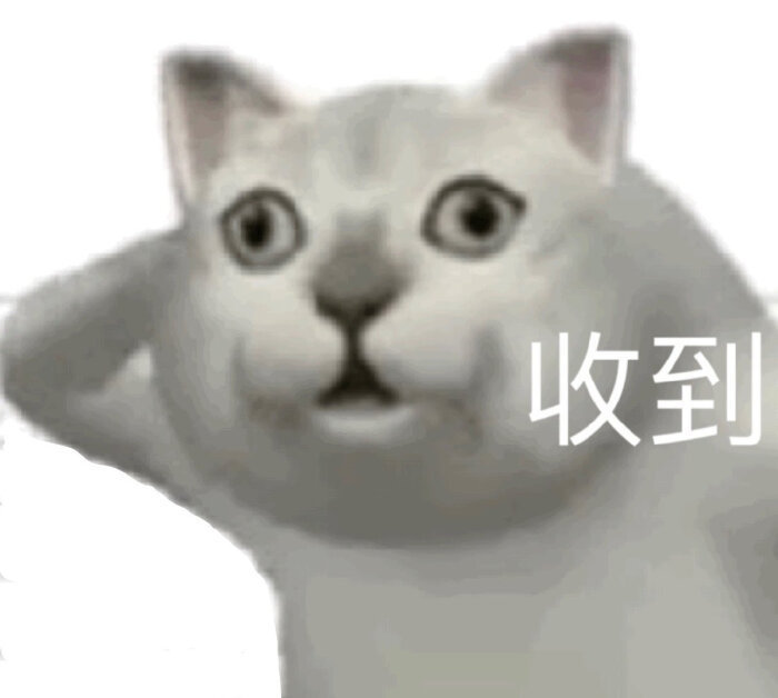 憨憨猫表情包合集｜感到不妙了