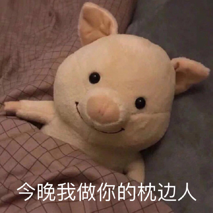 表情包：今晚我做你的枕边人