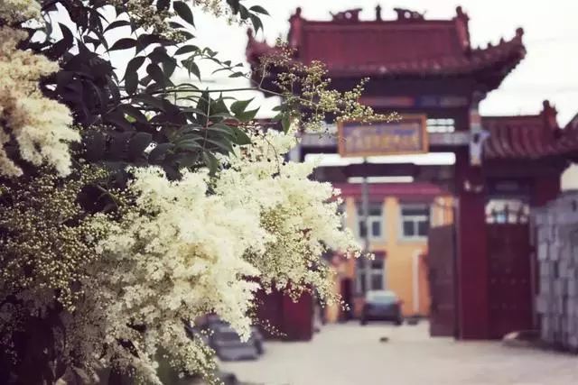 宁可狠心断情路，不教相思染白头。