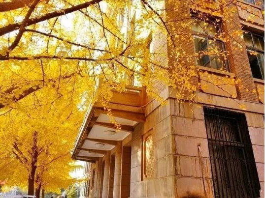 河南历史名城中的“实力高校”，科研硕果累累，选择它有这十大理由！