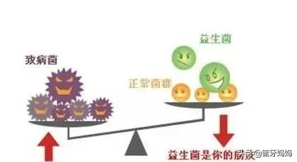 益生菌吃不吃?怎么吃?关于益生菌,一篇全知道