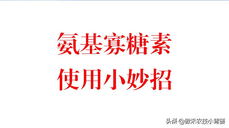 寡糖电影剧情讲解「简介」
