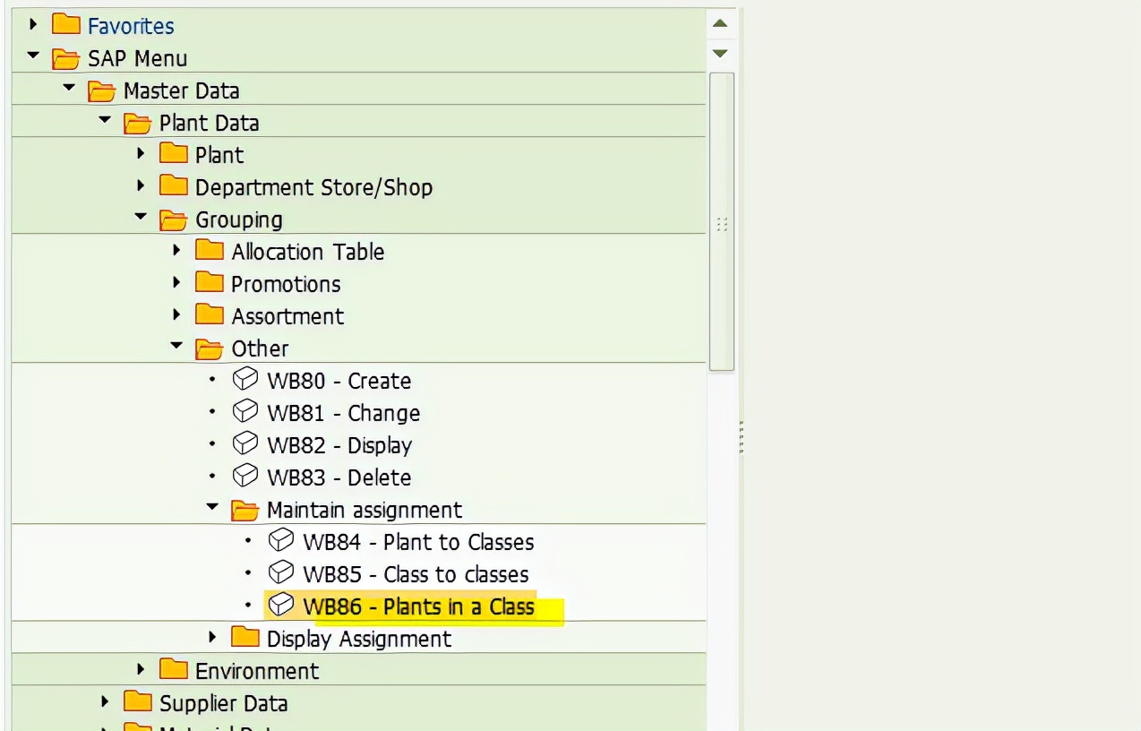 SAP RETAIL 为门店代码维护Plant Group