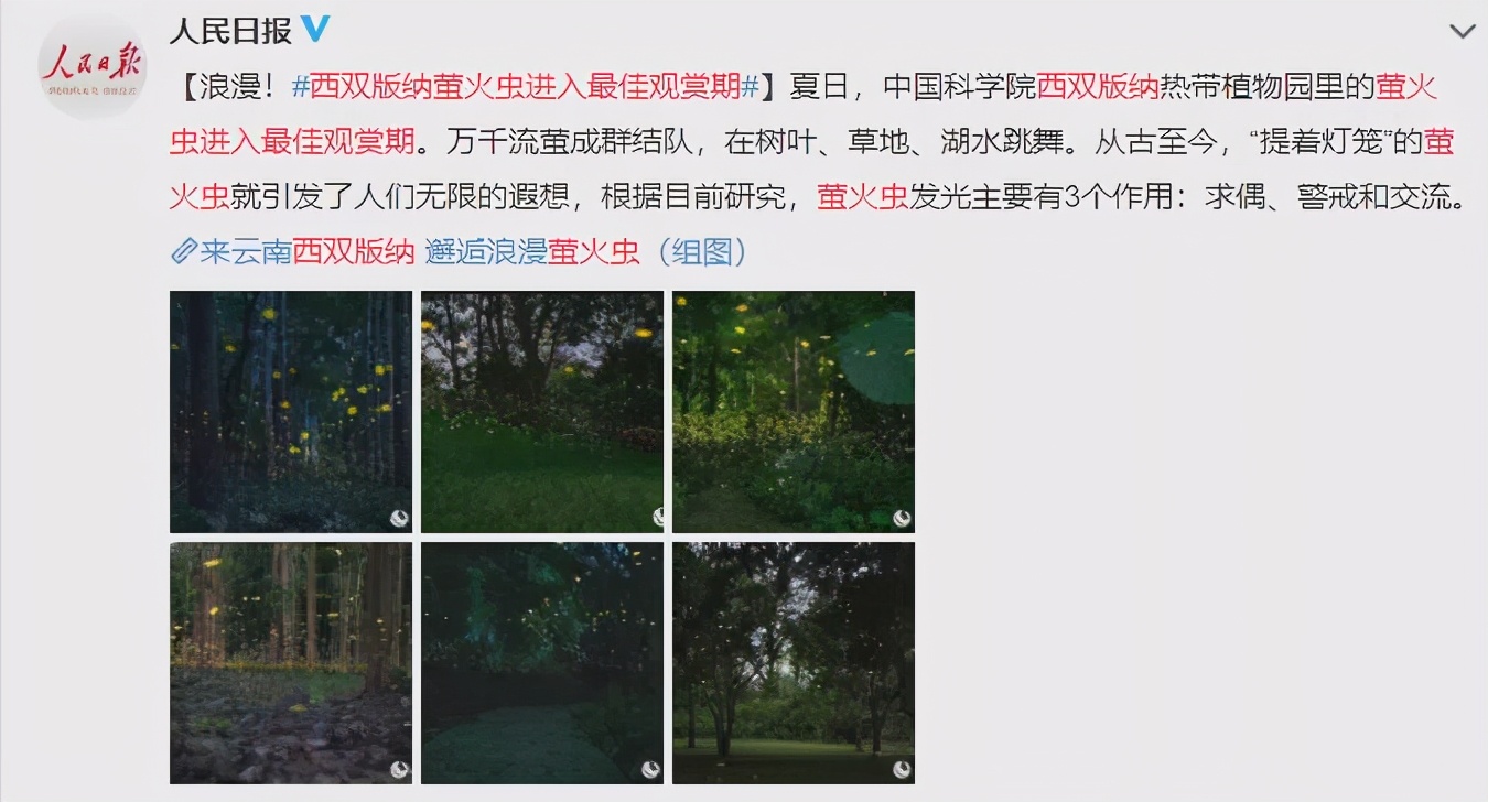 什么是益蟲,