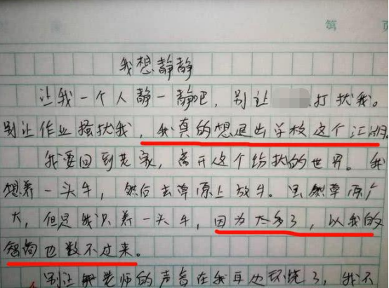 小学生作文“闹乌龙”，老师误认为在“开车”，网友：没有证据