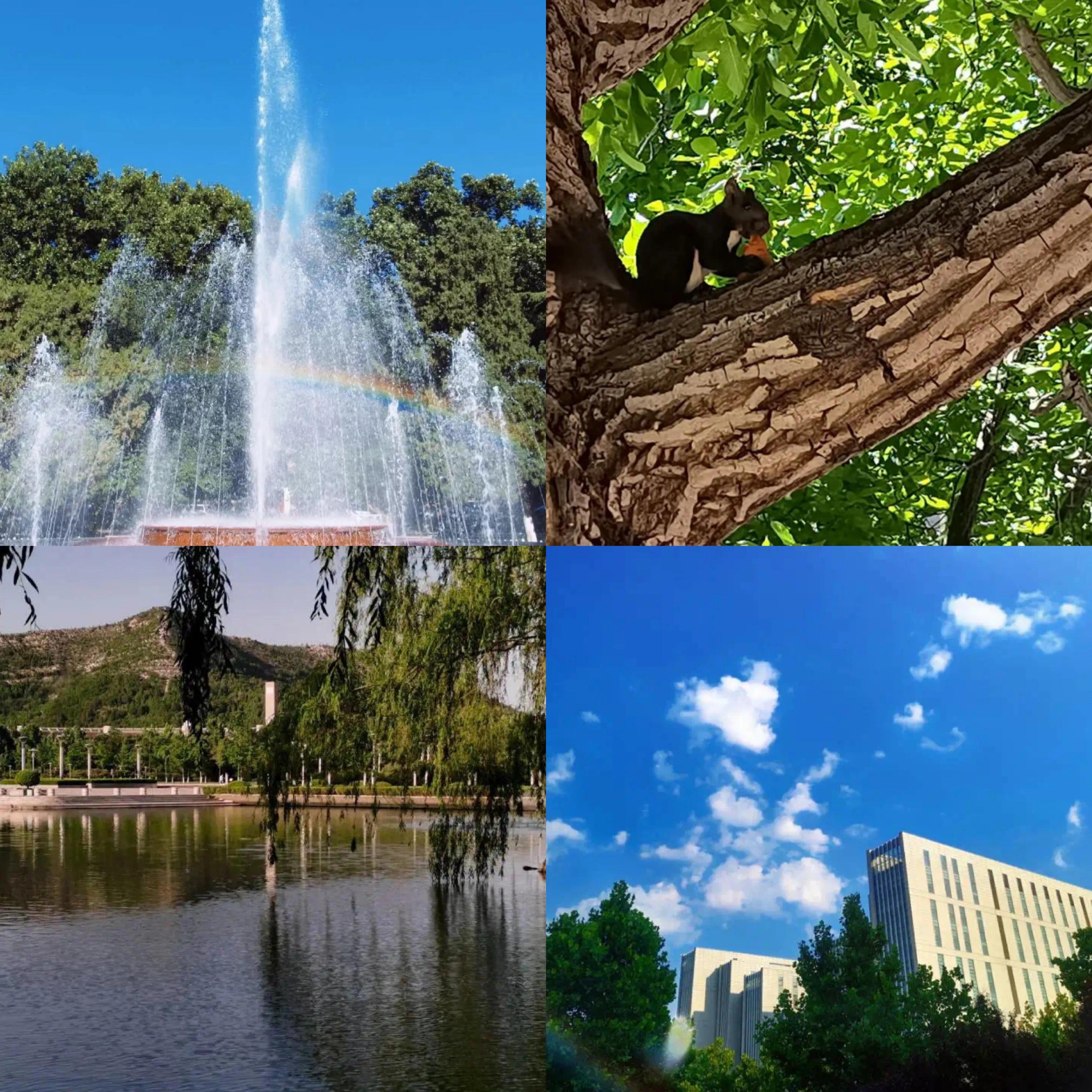 属于你我的，山师四季